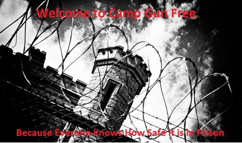 Camp Gun Free