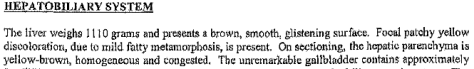 trayvon martin liver autopsy