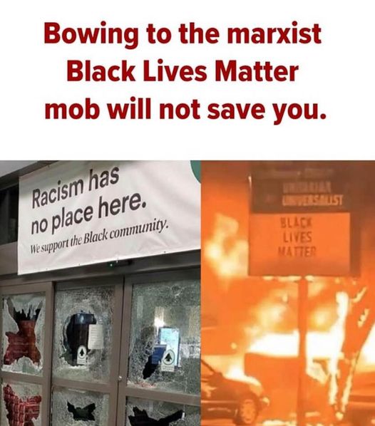 blm antifa bowing crocadile