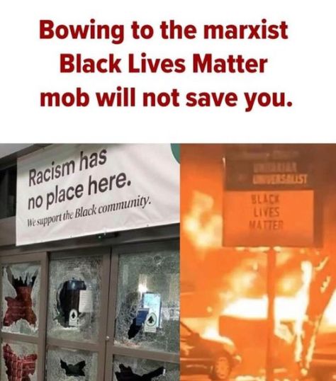 blm antifa bowing crocadile