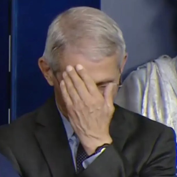 fauci face palm meme