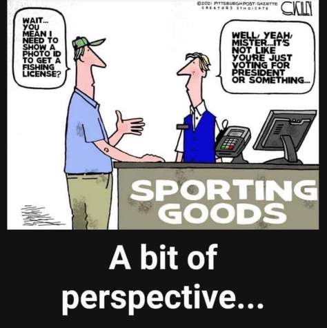 voter is perspective